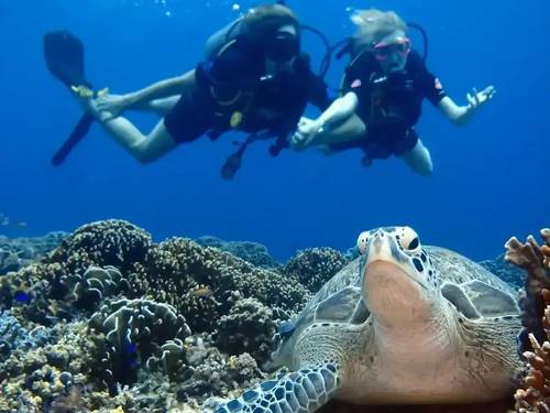 Gili Island Diving Center