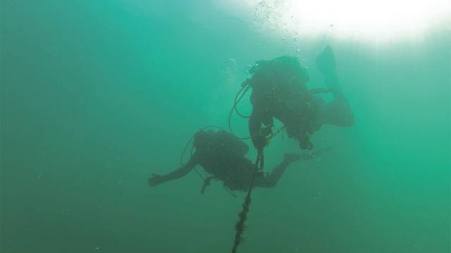 Dive Beyond