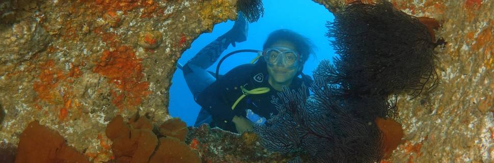 Dive Cabo Pulmo