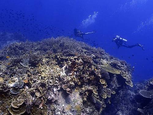 Dive Tioman by B&J Diving Centre