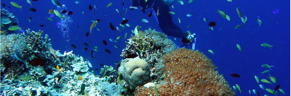 Philippine Fun Divers, Inc.