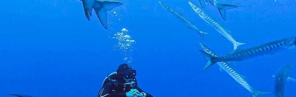 Evasioni Blu Diving