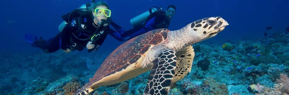 Australian Diving Instruction