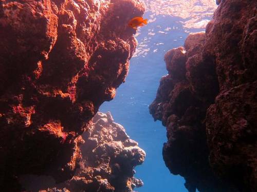 Deep Blue Divers