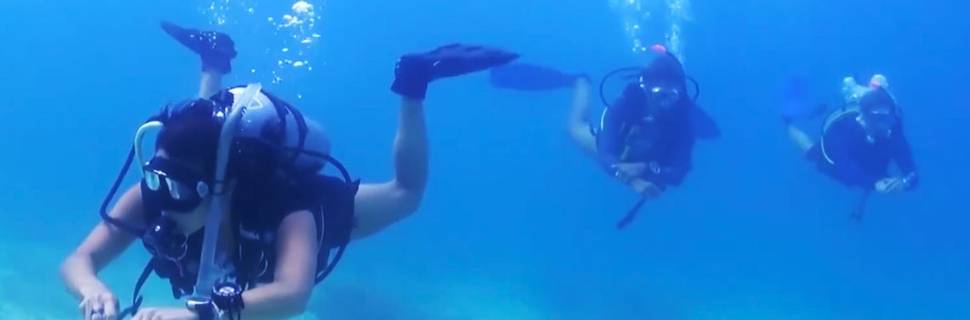 Turtle Town Scuba