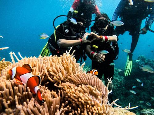Experience Scuba