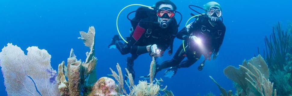 Scuba Roatan