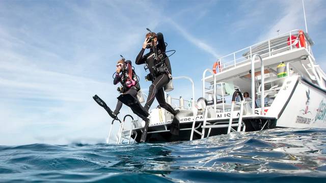 The Wave Diving Center