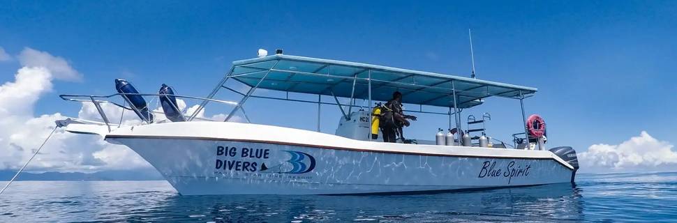 Big Blue Divers
