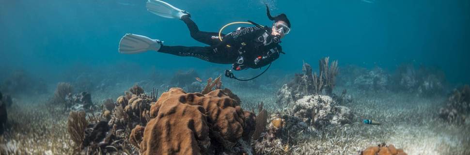Juara Scuba Academy (Tioman)