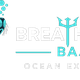 Breathe Out Baja - Scuba Diving, Whale Watching & Ocean Safaris