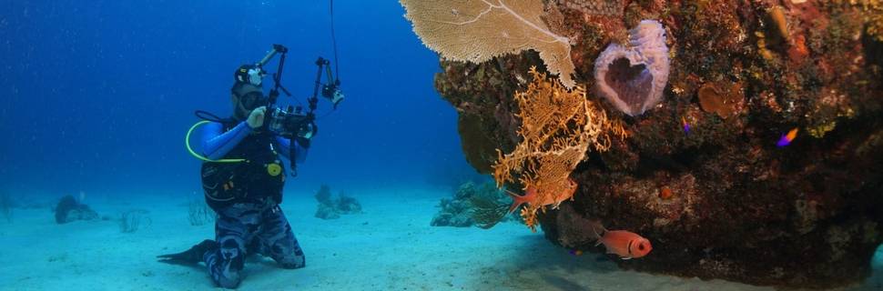 Bacunayagua Reef Dive With Varadiving