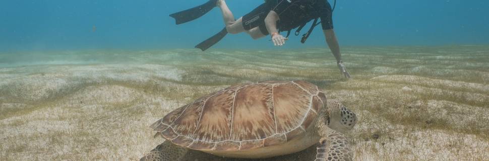 Aquanauts Dive Adventures