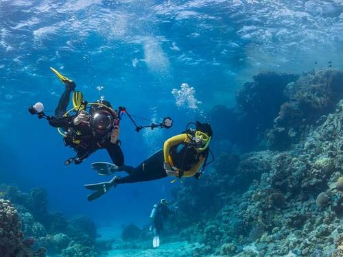 Myanmar Dive Center
