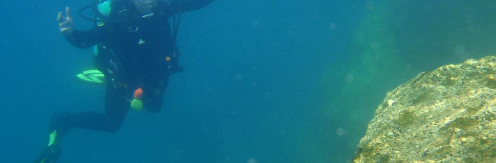 Abyss Dive