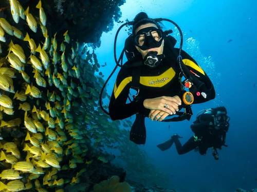 Go Diving Koh Tao - Scuba & Freediving Centre