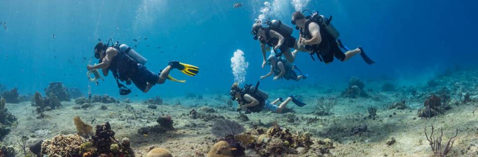 Sand Dollar Sports Dive Center