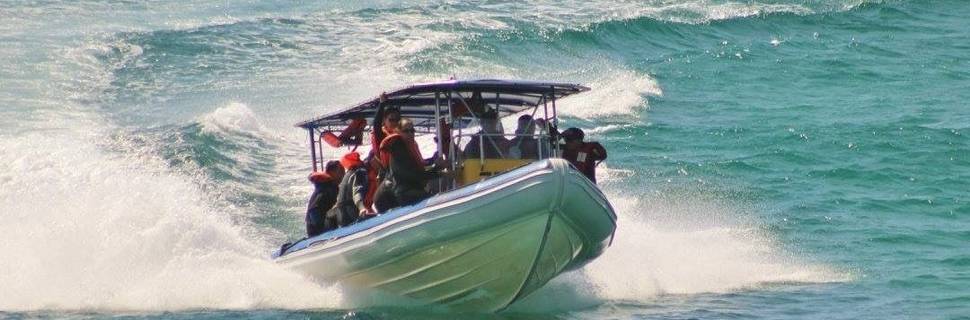 Tweed Sea Sports