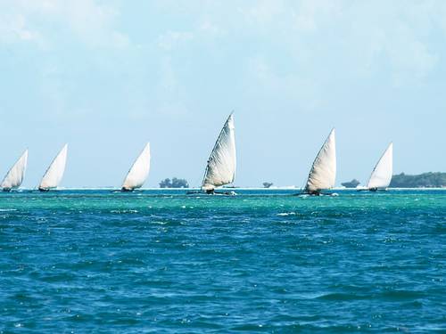 Aquaholics Barra Scuba and Activities