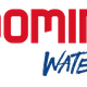 Dive Dominica, Ltd.