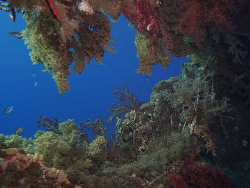 Palma Diving Resort