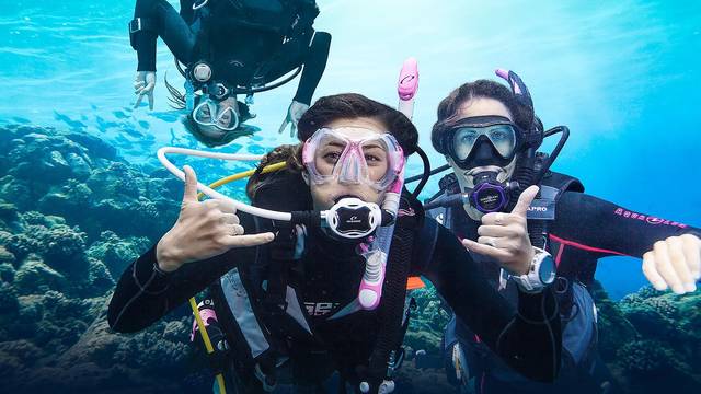 AQUA ONE Dive | PADI 5 Star IDC