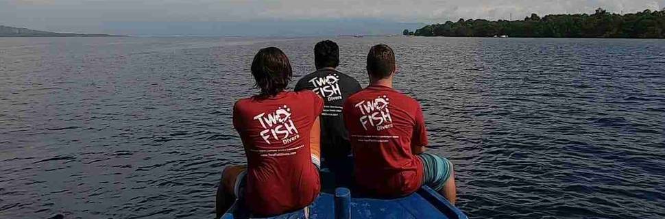 Two Fish Divers Amed