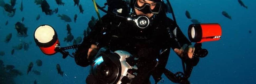 Kenya Coastal Divers