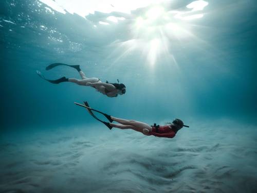 Immersia Freediving
