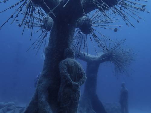 Blue Explorer Divers