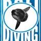 Bali Diving