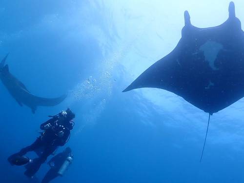 Bali Diving School | Scuba Diving Course