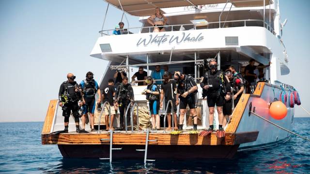 White Whale Divers | Scuba Diving Center in Hurghada