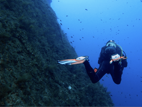 Orca Dive Club