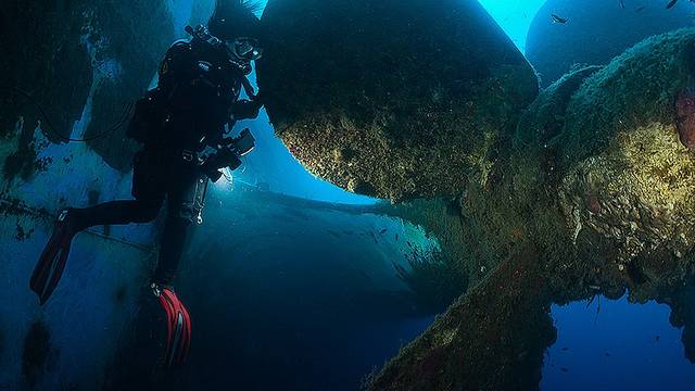 Undersea World Scuba Diving