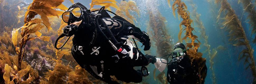 Dive Otago Ltd.