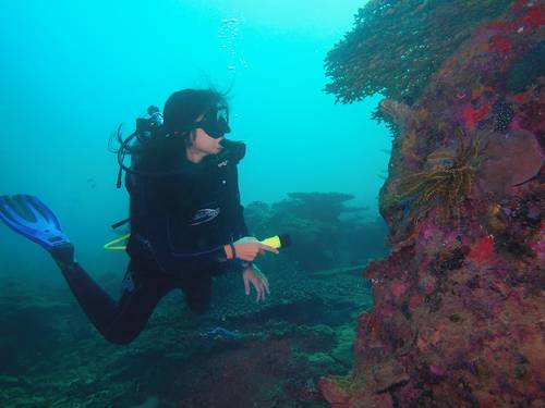 Gayana Dive Centre