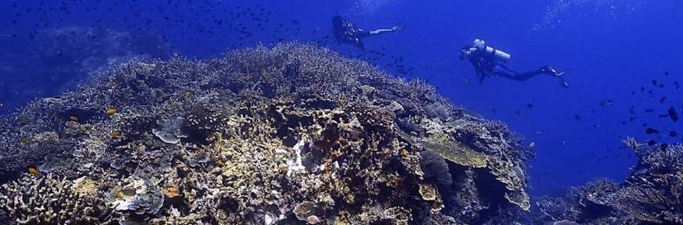 Dive Tioman by B&J Diving Centre