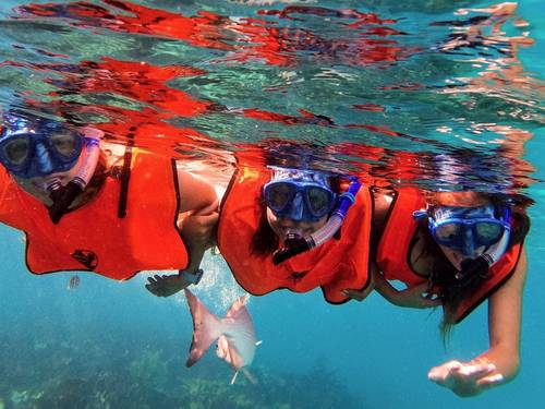 Grove Scuba