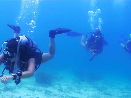 Turtle Town Scuba