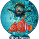 Dive Nemo Hurghada – PADI Diving Center