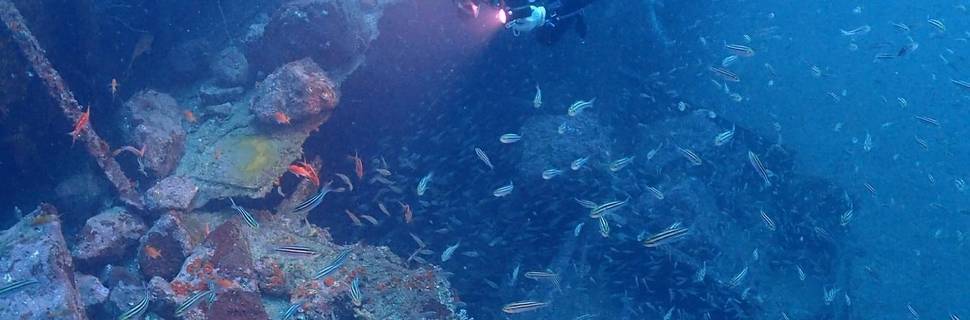 Laut