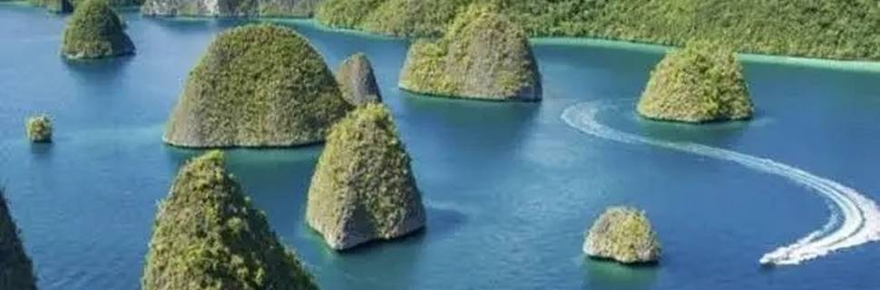Dragonet Divers Raja Ampat