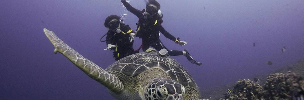 Compass Divers