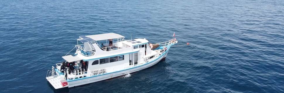 Aloha Diving