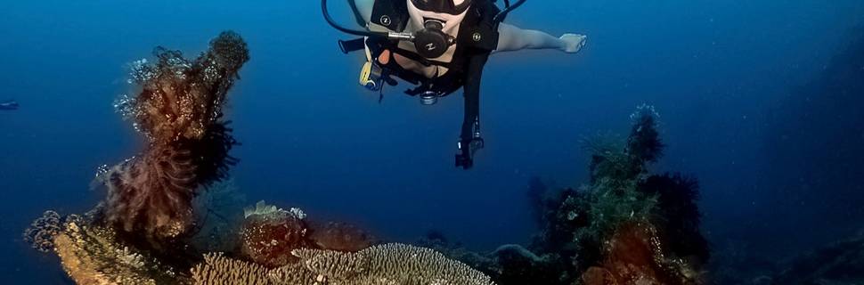 Diving with Jim