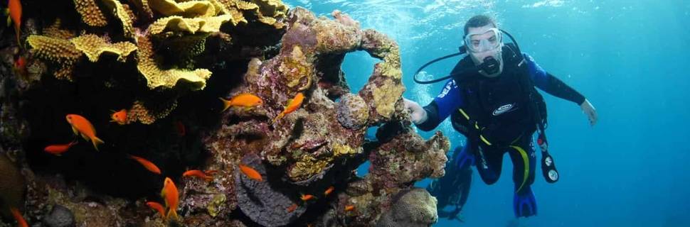 Nautilus Red Sea