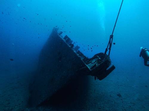 Hawaii Eco Divers