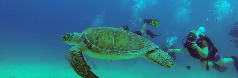 Kalkan Dive Centre