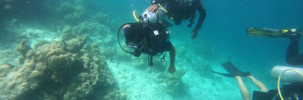 Lagoon Dive Club